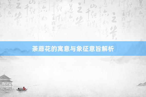 荼蘼花的寓意与象征意旨解析