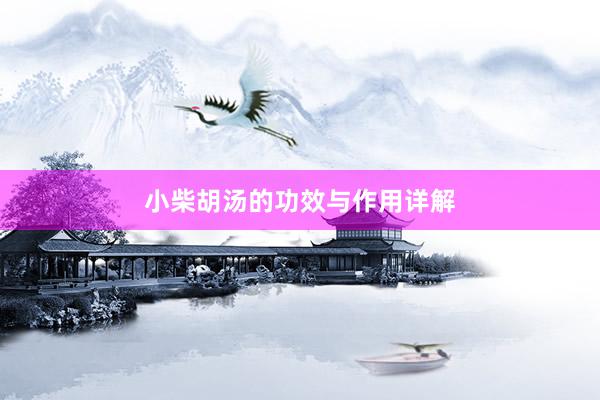 小柴胡汤的功效与作用详解